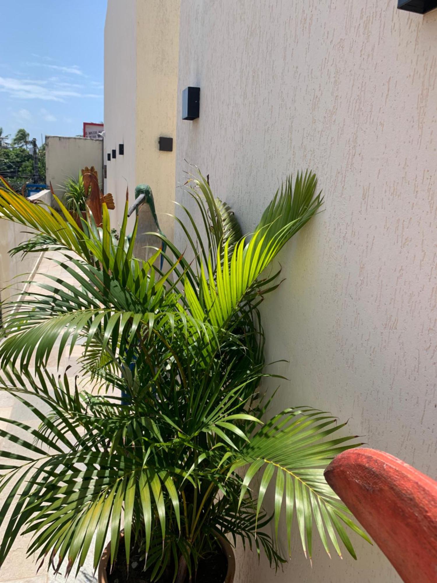 Villa Peixe Na Telha Pôrto das Galinhas Exteriör bild
